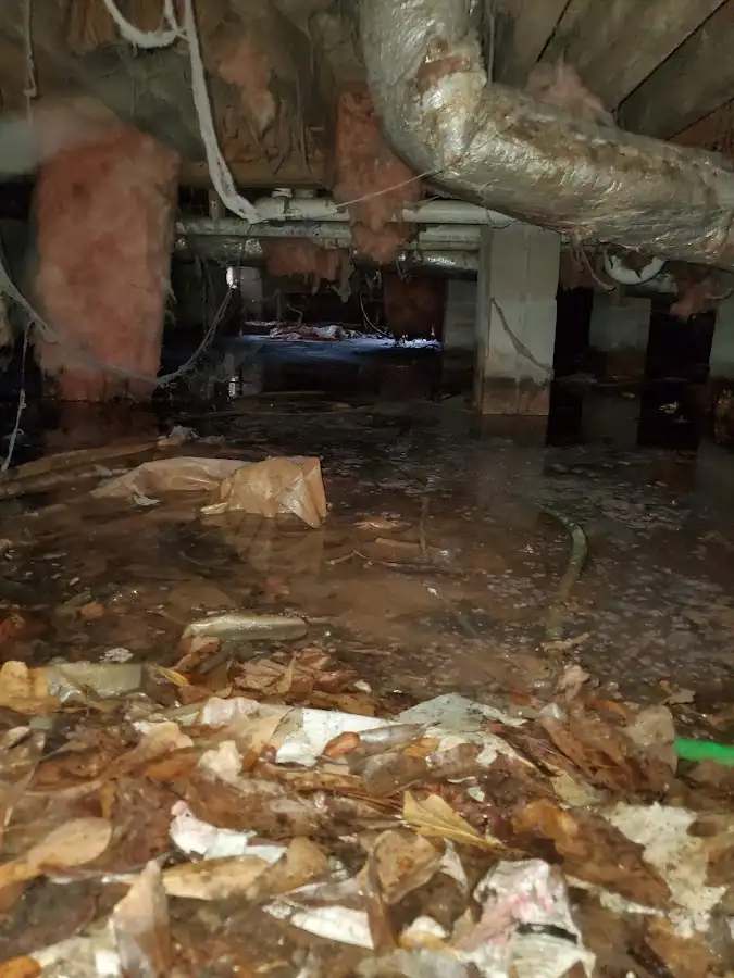 Crawl space flood assessment for Leak Detection & Repair in Lisbon