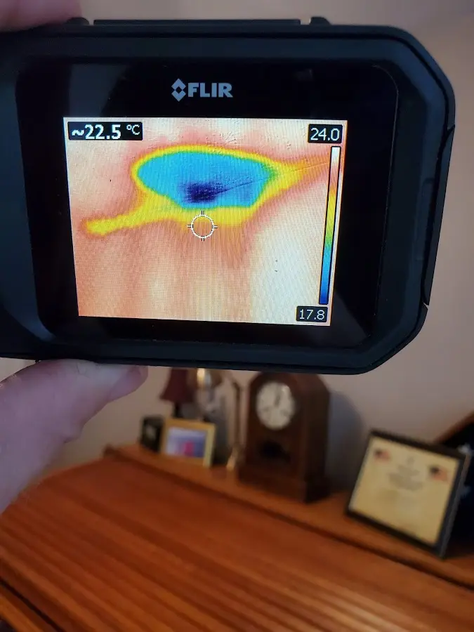 Thermal imaging inspection for water damage in Lisbon